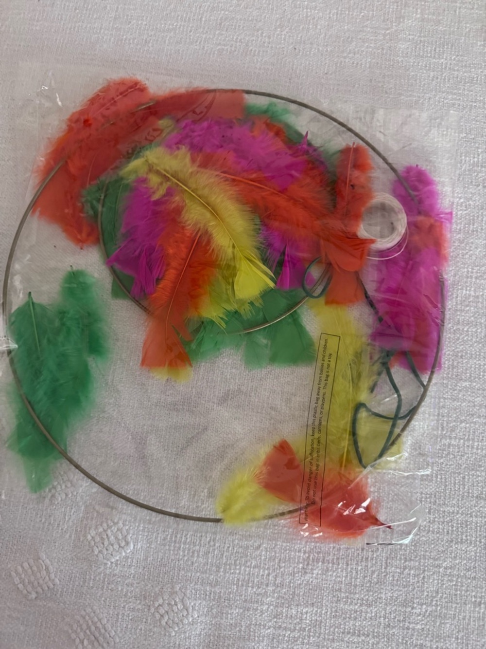 Dream Catcher Craft
